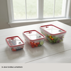 Frischhaltedose "FreshBox"